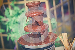 Vibrant Picture of Chocolate Fountain Fontain on childen kids birthday party with a kids playing around and marshmallows and fruit