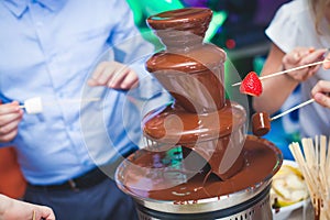 Vibrant Picture of Chocolate Fountain Fontain on childen kids birthday party with a kids playing around and marshmallows and fruit