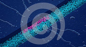 Vibrant pink and blue granular microchannel