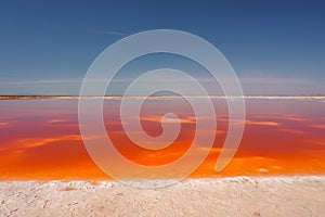 Vibrant Pink Lake Landscape, Alviso Pink Lake Park, California