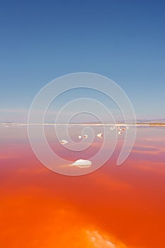 Vibrant Pink Lake with Salt Formations, Alviso Park, CA photo