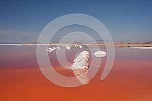 Vibrant Pink Lake with White Salt Formations, Alviso Park photo