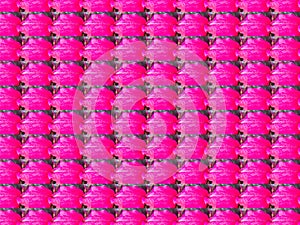 Vibrant Pink Ornamental Leaf Pattern: Seamless Nature Background Texture