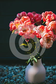 Vibrant pink peonies with lush petals standing in a pink vase