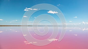 Vibrant pink salt lake water mirror with blue sky