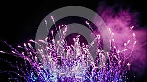 Vibrant Purple and Blue Fireworks Exploding Against Night Sky