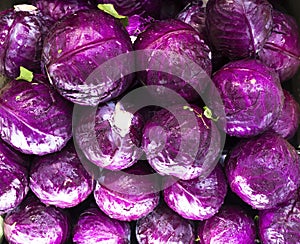 Vibrant purple cabbages