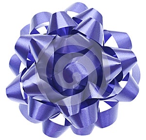 Vibrant Purple Gift Bow