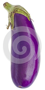 Vibrant Purple Organic Eggplant photo