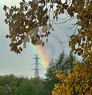 Vibrant Rainbow Emerging Behind Autumn Trees with Power Line Tower