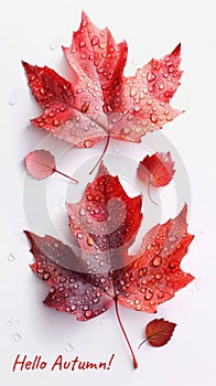 Vibrant Red Autumn Leaves with Dew Drops Welcoming the Season