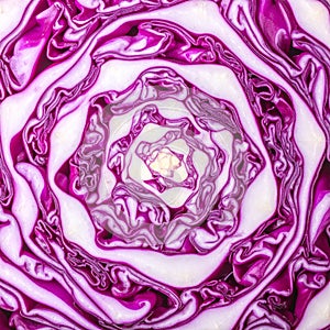 Vibrant Red Cabbage Abstract Background Pattern