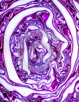 Vibrant Red Cabbage Cross-Section Macro