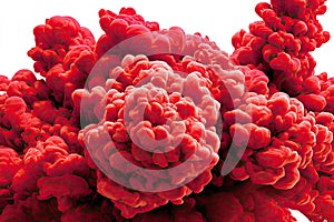 Crimson Ink Cloud Burst