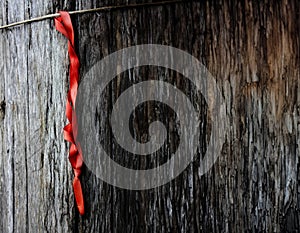 A vibrant red ribbon twists against an aged wooden backdrop, symbolizing hope, awareness, and the fight against AIDS
