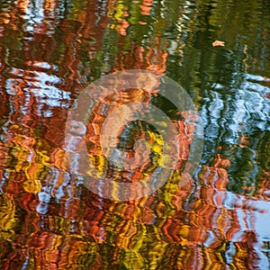 Vibrant reflections of autumn foliage create