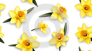 Mini Yellow Daffodil Pattern on White Background