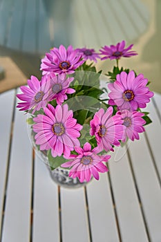 Vibrant shot of a small purple flowers in a vase on a white wooden table