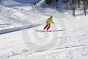 Vibrant Skier Carving on Snowy Trail