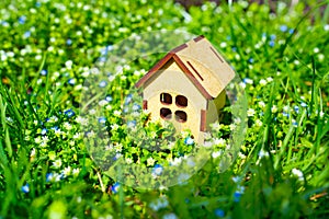 Vibrant springtime background: miniature wooden house standing on a meadow of fresh green grass and vibrant field flowers