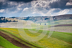 Vibrant , striped green agricultural field at springtime, dark dramatic stormclouds