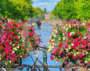 Vibrant summer Amsterdam