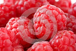 Vibrant summer raspberries