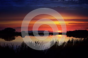 Vibrant sunset over a duck pond framed by bullrushes