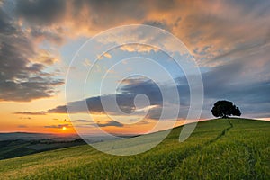 Vibrant sunset over Tuscany