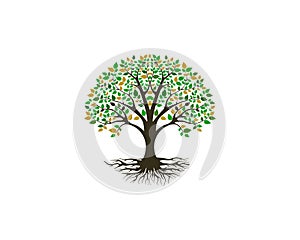 Vibrant tree logo design, root vector isolated ready to print