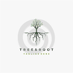 Vibrant tree logo design, tree and root vector. Tree of life logo design inspiration