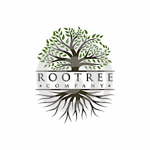 Vibrant tree logo design, tree and root vector. Tree of life logo design