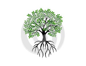 Vibrant Tree and roots logo vector illustration isolated on white