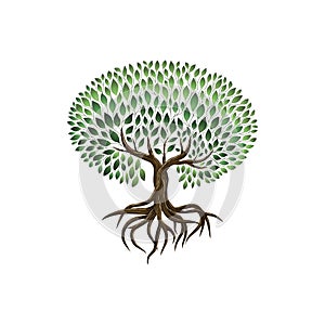 Vibrant tree vector art, tree and roots illustrations isolated on white