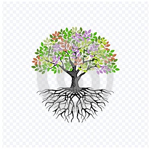Vibrant tree vector art, tree and roots illustrations isolated on white