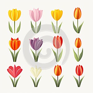 Vibrant Tulip Vector Illustration With Subtle Tonal Variations photo