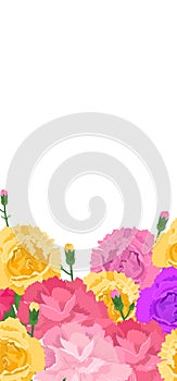 Vibrant vector illustration assorted colorful carnations. Pink, yellow, purple flowers buds, ideal