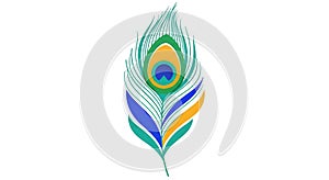 Vibrant Stylized Peacock Feather Vector Illustration