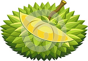 A vibrant vector illustration of tropical durian fruit, featuring its spiky shell and creamy texture