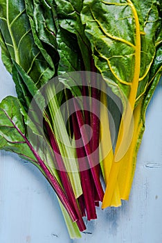 Vibrant vegetable, swiss rainbow chard