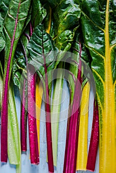 Vibrant vegetable, swiss rainbow chard