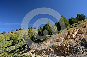 Vibrant Vista Along Logan Canyon Scenic Byway