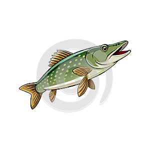 Vibrant Wildriver Pike Illustration with Unique Features