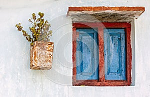 A vibrant window along with plant of Tulsi (Ocimum sanctum, Holy basil) hanging on a wall in a rural place in India