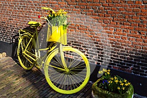 Vibrant yellow bicycle with basket of daffodil flowers on rustic brick wall background