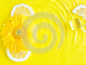 Vibrant yellow lemon citrus slice background with ice cubes, flowers