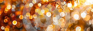 Vibrant yellow, orange, red gradient bokeh abstract for versatile background use