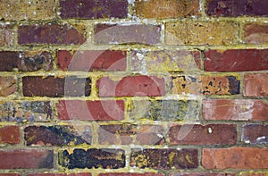 Vibrantly colourful brick wall