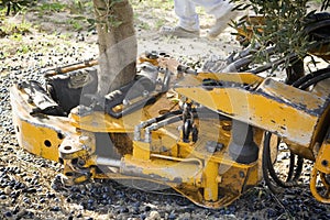 Vibrating machine in an olive tree