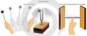 Vibratory Motion Infographic Diagram with example